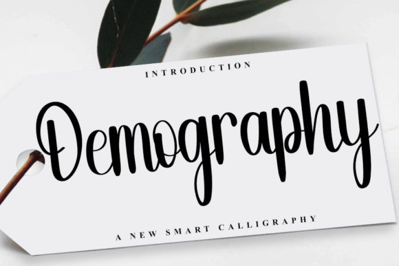 Demography Typeface: A Designer’s Review for Campaign Visuals